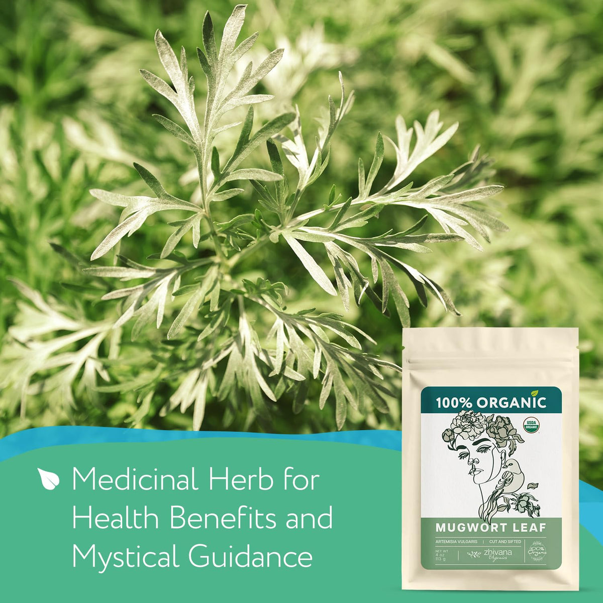 Mugwort Tea Organic Loose Leaf (4oz) – Mugwort Herb - Artemisia Hierba Seca Organica – Dried Mugwart Leaves