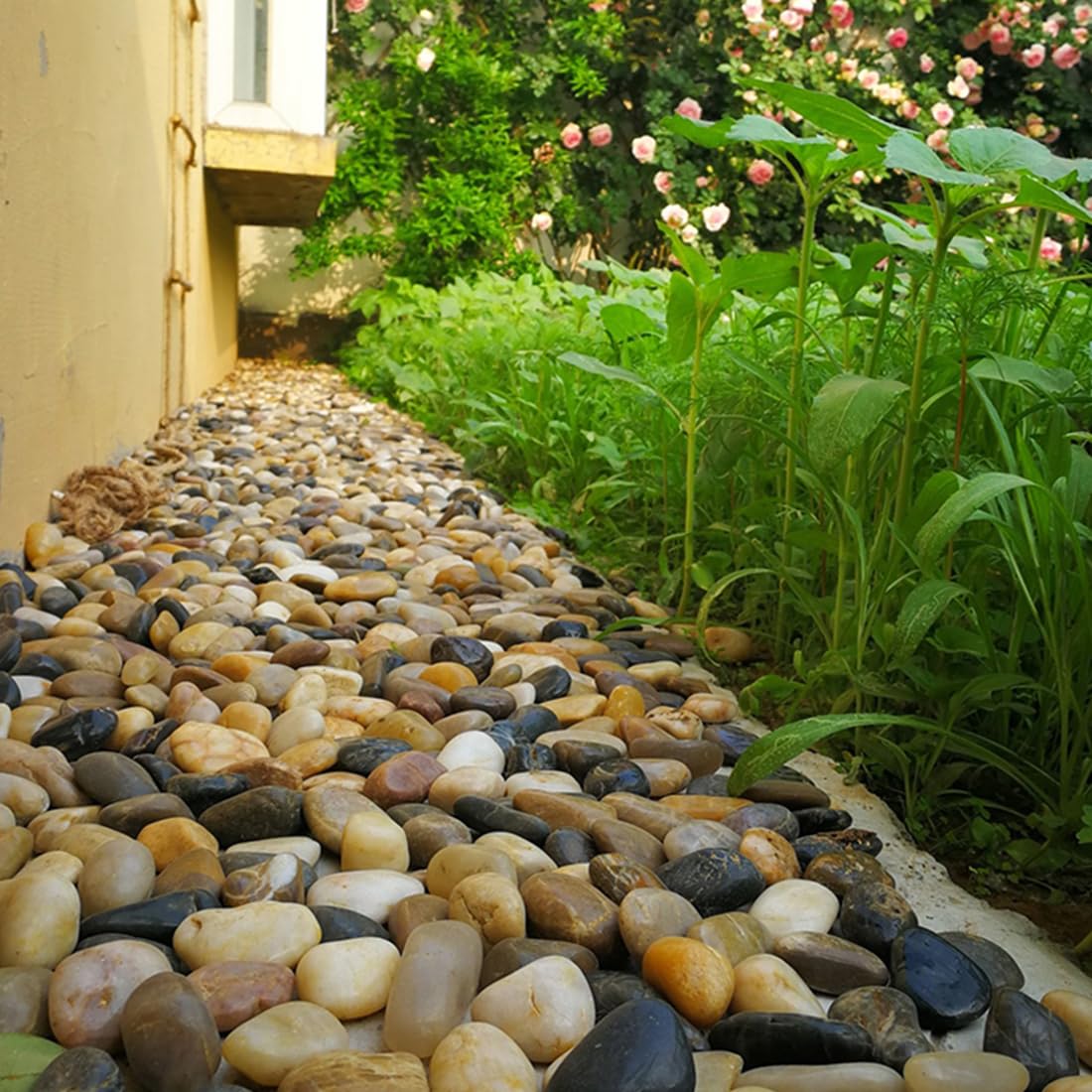 5lbs Pebbles for Indoor Plants, 2-3 Inch Mixed Color High Polished Large River Rocks Outdoor Decorative Stones Vase Filler Fish Tank Aquariums Landscaping Garden Outdoor and Indoor DIY
