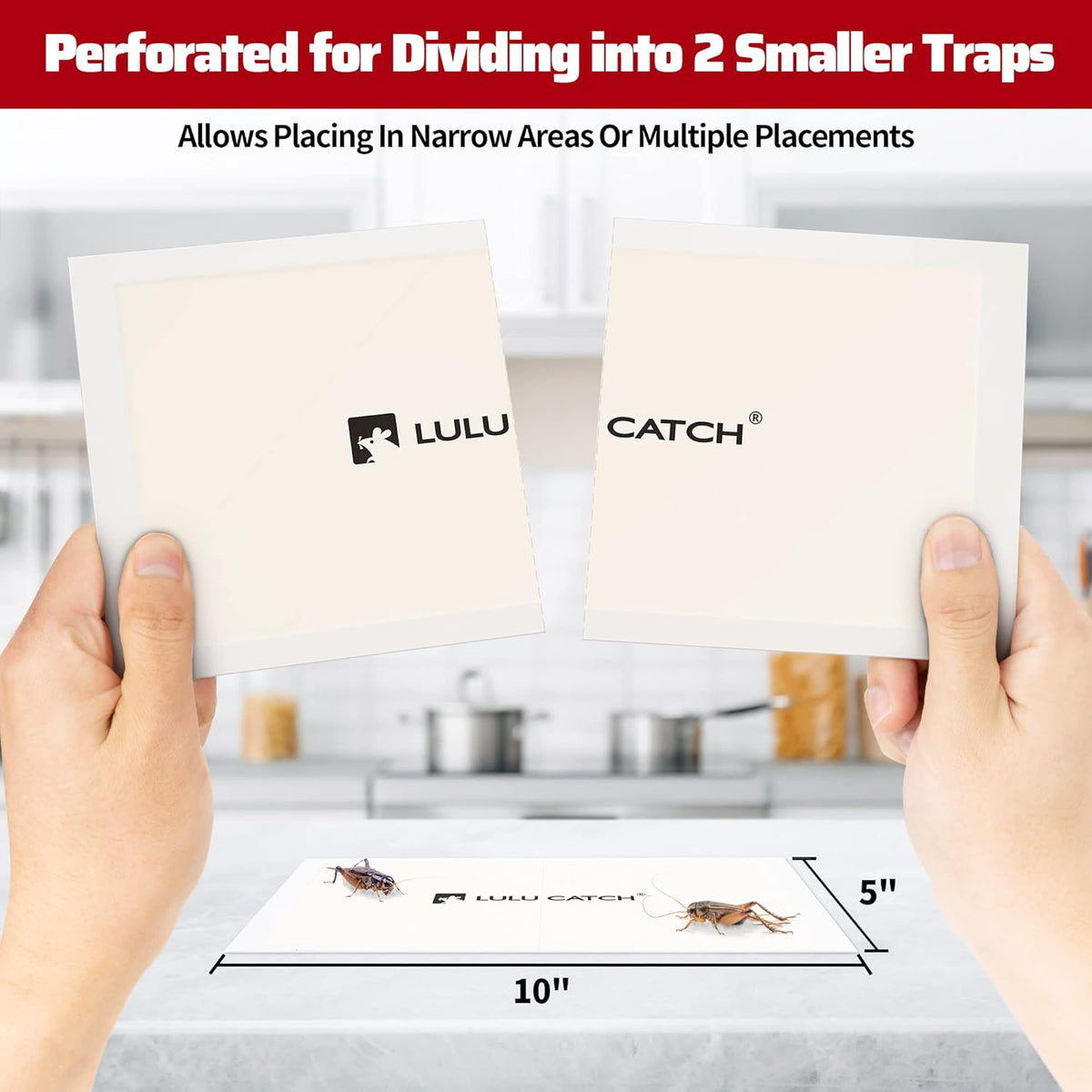 LULUCATCH Cricket & Insect Glue Traps 24 Pack, Adhesive Bug Catcher, Pre-Baited Spider Scorpion Trap, Non-Toxic Glue Boards Indoor for Home Catching Bugs,Small Mice & Rodents, Pet Safe Pest Control