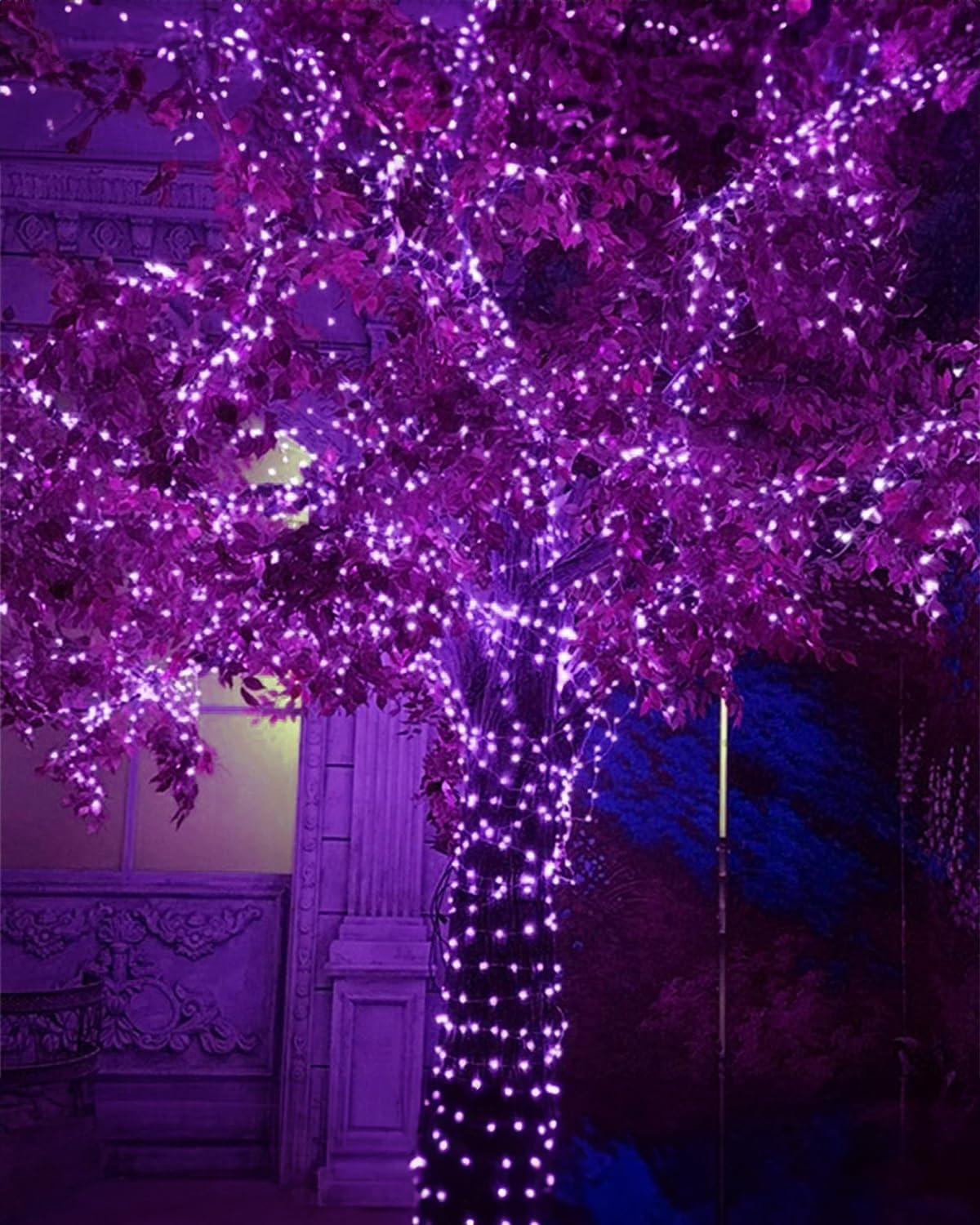 Twinkle Star 2 Pack Outdoor Solar String Lights, Total 80FT 240 LED Solar Powered Halloween Decorative Fairy Lights with 8 Modes, Waterproof Black Wire Light Patio Yard Wedding Party, Purple, 2 Pack
