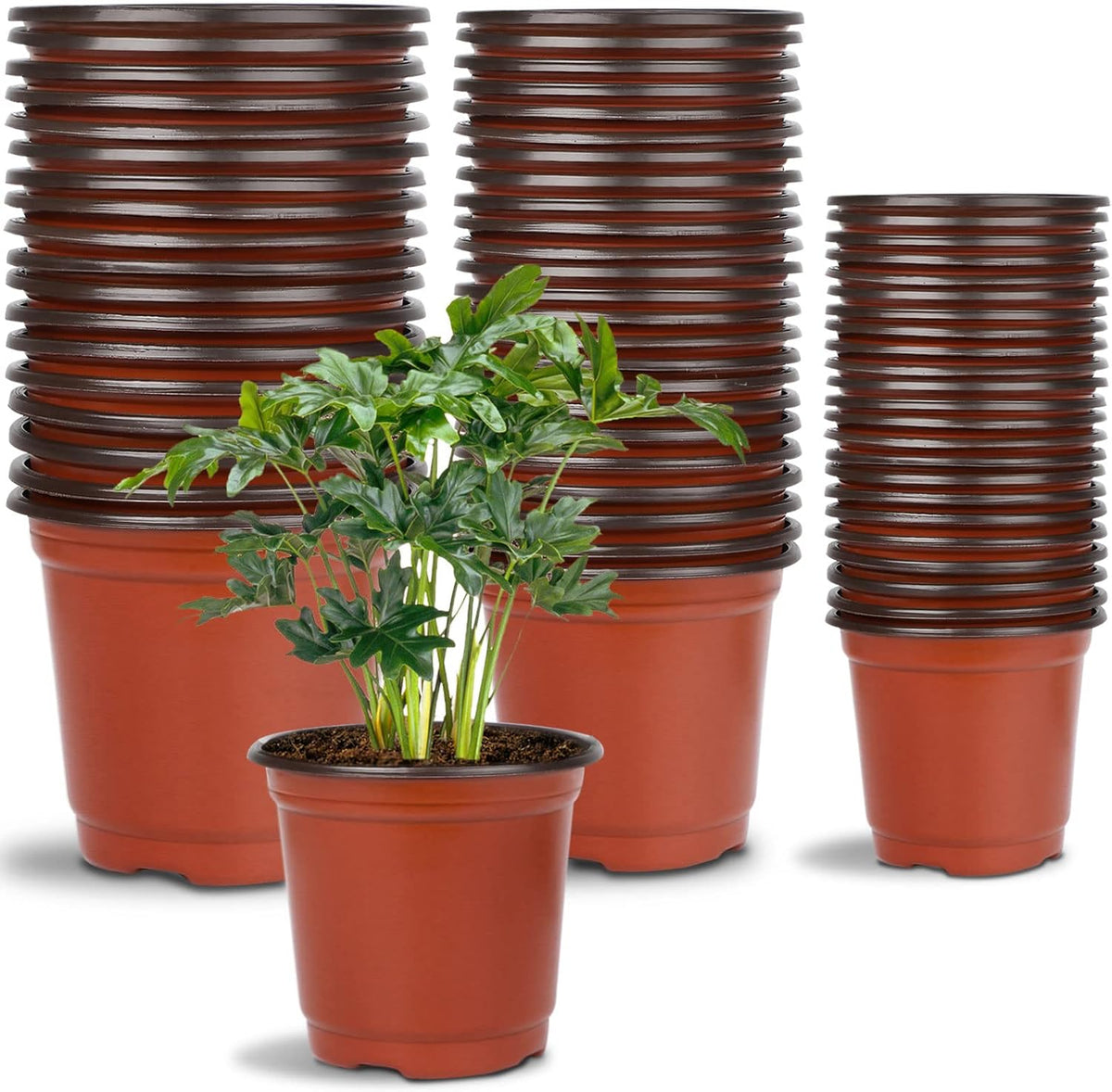 Augshy 120 Pcs Plastic Plants Nursery Pot, Indoor Outdoor Seed Starting Pots (4,5,6-Inch)