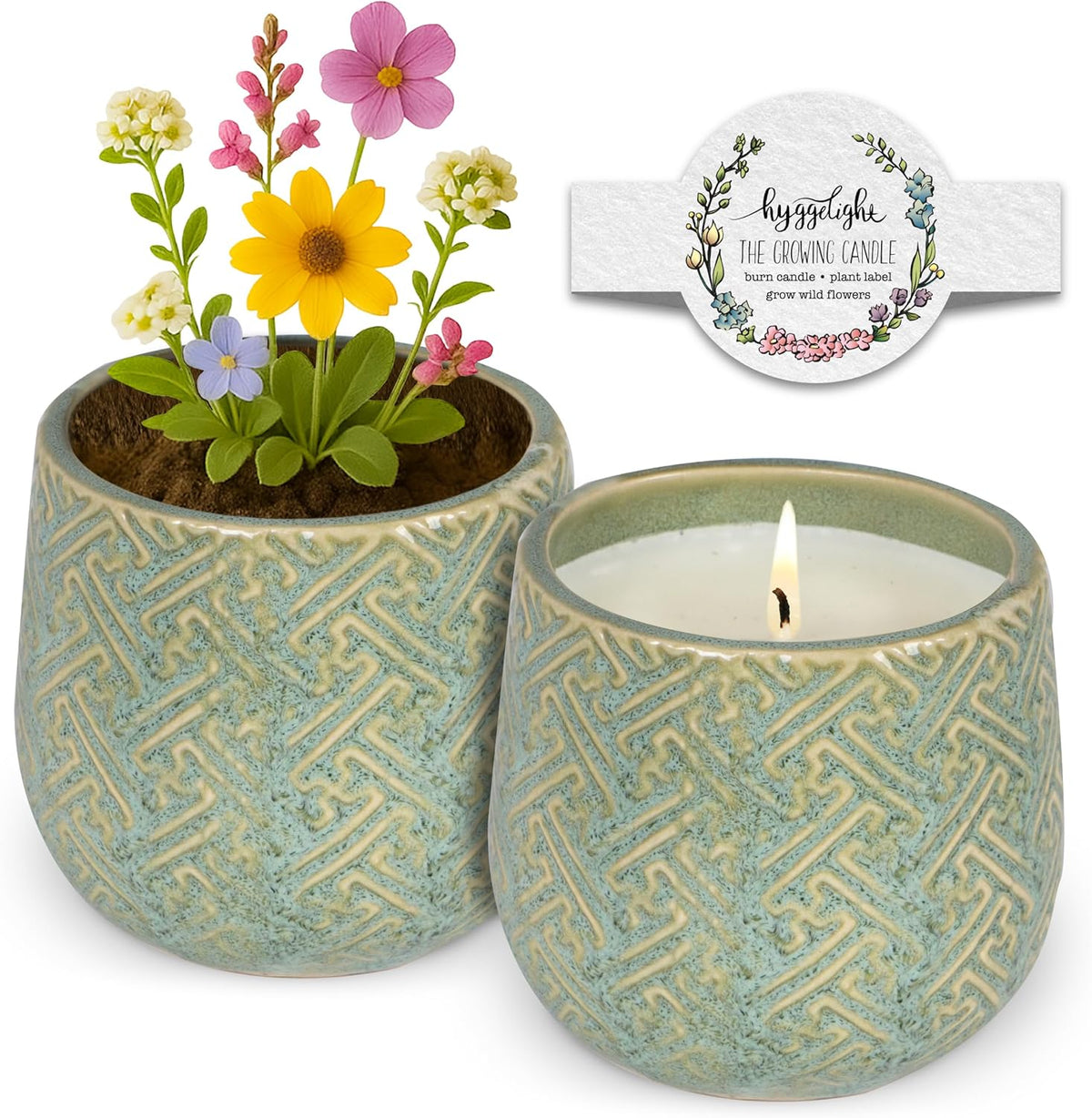 The Growing Candle, Lemongrass Scented, 10oz Ceramic Pot, Single Wick Aromatherapy Candles, 100% Soy for Women and Men, Ida