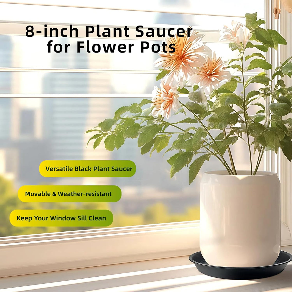 6 Pack 8 Inch Black Plant Saucers, Heavy Duty PP Plastic Plant Trays for Pots, Durable Flower Pot & Planter Saucers, Water Catcher Drip Trays Indoor Outdoor Use