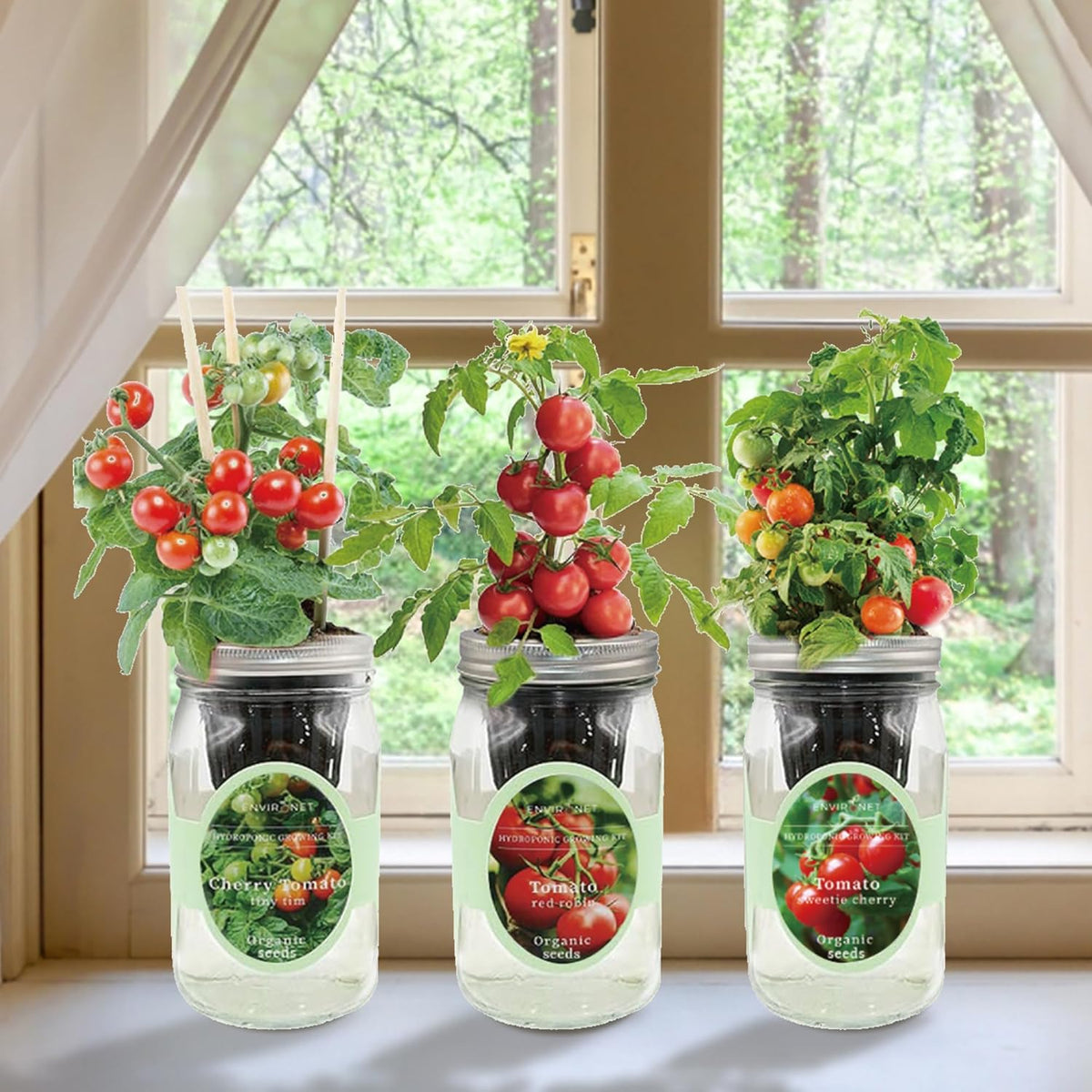 Hydroponic Mason Jar Indoor Garden Organic Seed Starter Kits - Tomato Trio Garden Growing Kits, Gardening Gift (Red Robin Tomato, Cherry Tomato - Tiny Tim, Sweetie Cherry Tomato)
