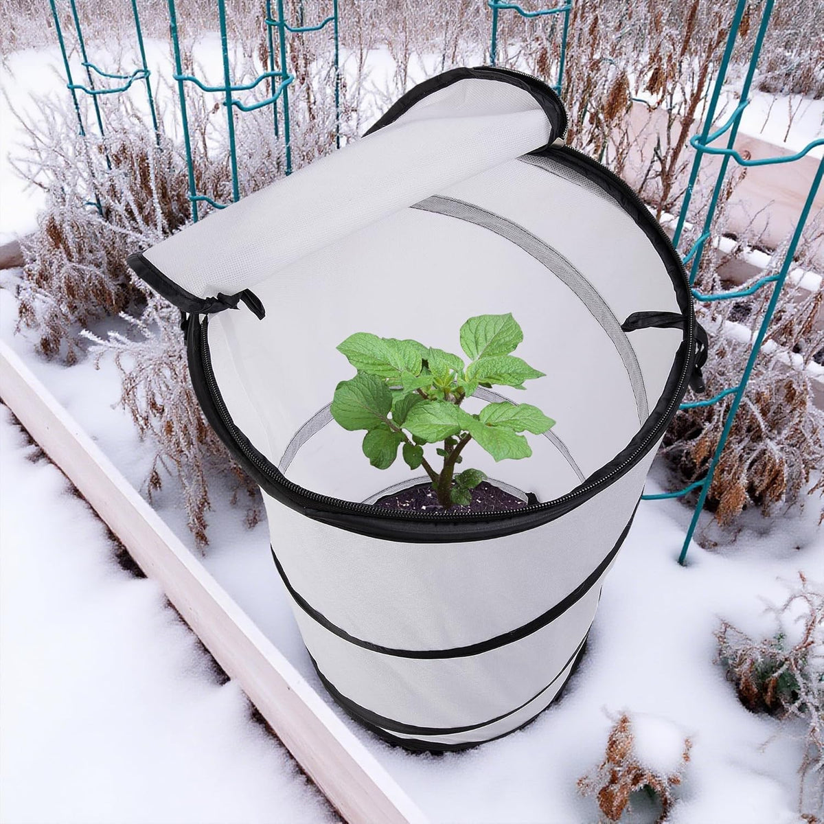 2 Pcs Pop Up Winter Frost Plant Cover, 20 x 12 Inch Round Garden Plants Freeze Protection Tent, Foldable Warm Plant Protector Enclosure for Snow Frost Protection Indoor & Outdoor