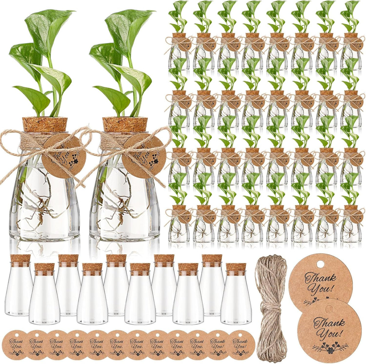 Baderke 3.35'' Plastic Plant Propagation Stations with Hole Lid Planter Vase Clear Propagation Jars with Thank You Tags for Plant Lover Gifts for Women Office Home Garden (48 Pack,Cute)