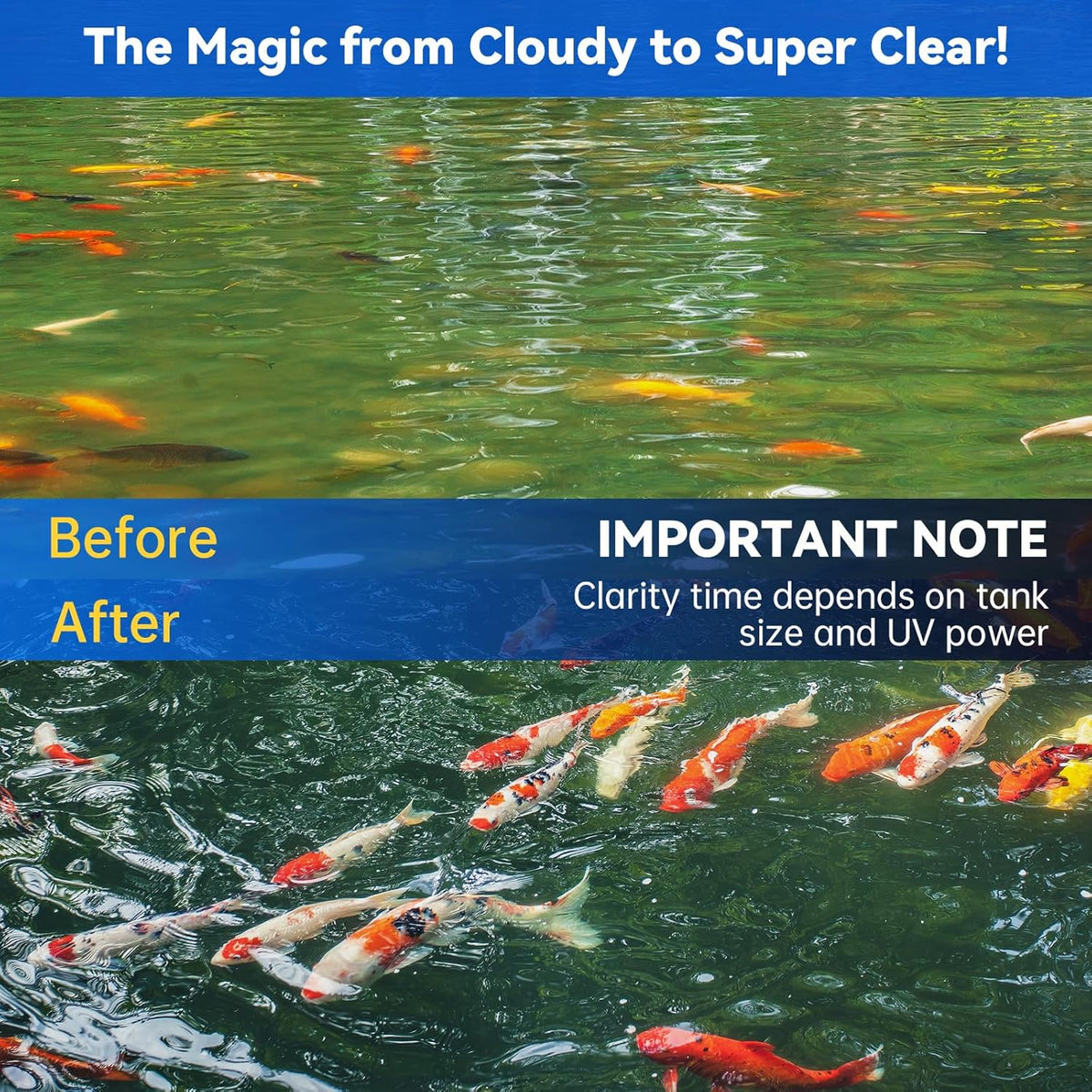 Pond UV Light for Fish Tank UV Pond Water Clarifier for 100-3000 Gallon UV Pond Filter for Outdoor Pond Swimming Pool and Spa Large Fish Tank UV Light Aquarium for Koi Pond Algae Control（42W）