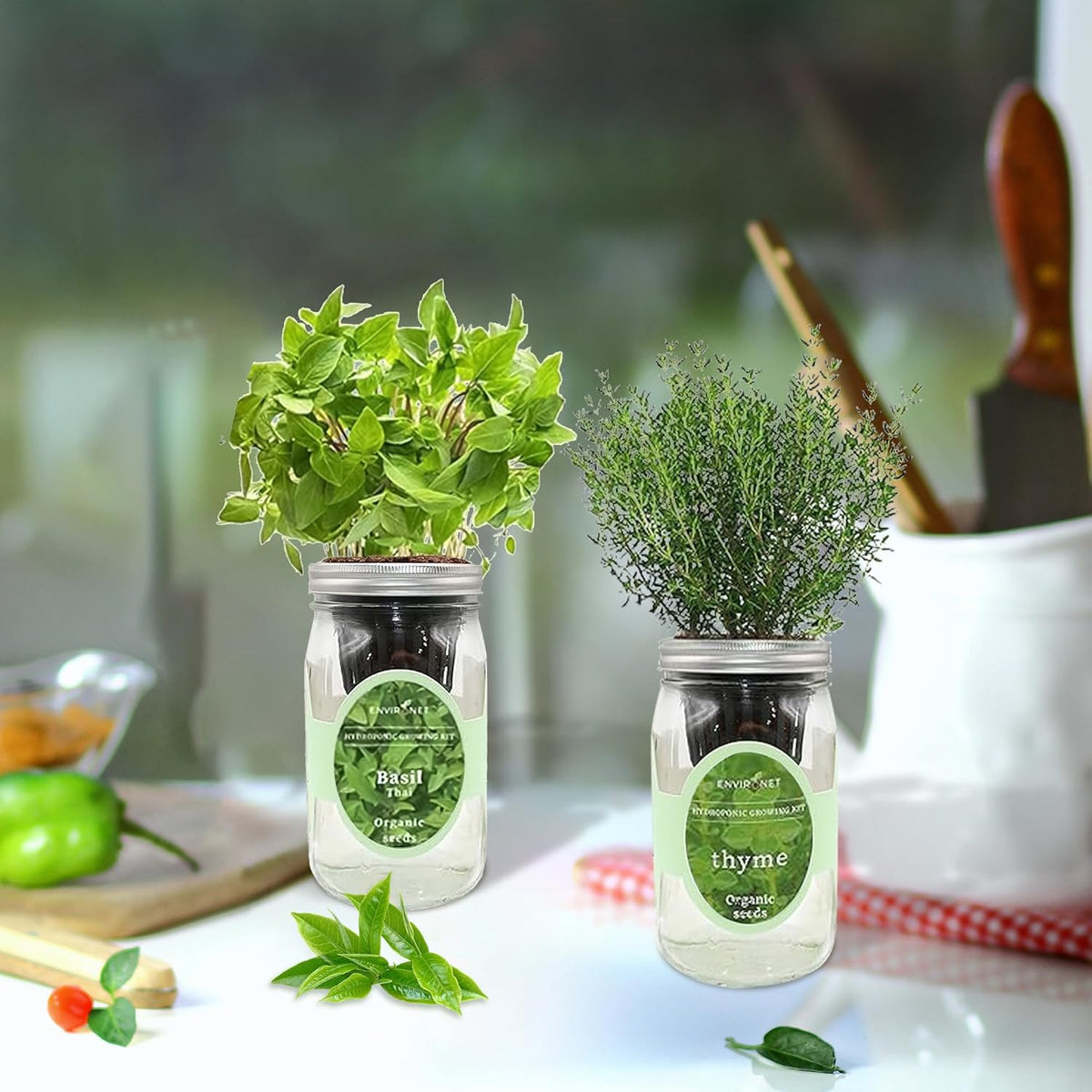2-Pack Hydroponic Mason Jar Herb Garden Kit, Indoor Herb Garden Self-Watering Starter Kit (Thyme,Thai Basil)