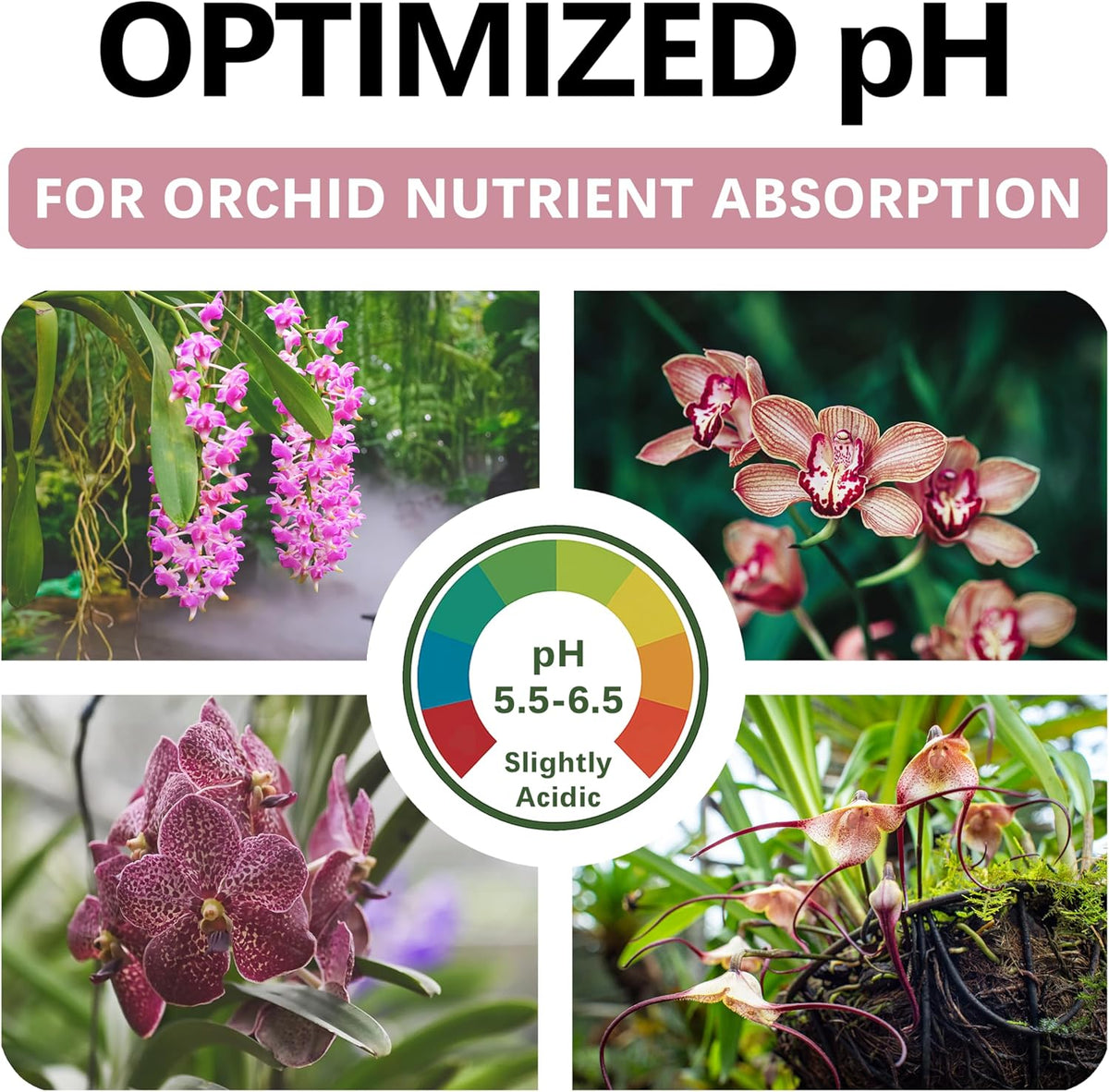 Orchid Soil - Premium Potting Mix for Phalaenopsis, Dendrobium & Cattleya | Fast-Draining, Moisture-Retentive, pH-Balanced for Healthy Root Growth | Organic & Peat-Free (4 QTS)