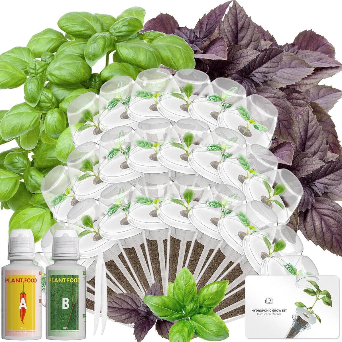 Hydroponics Seed Pod with Genovese Basil & Purple Basil, 24 Pods Complete Kit with Sponge, Basket, Dome, Label, Compatible with AeroGarden, Ahopegarden, GARDENCUBE, iDoo & MUFGA Indoor Smart Gardens