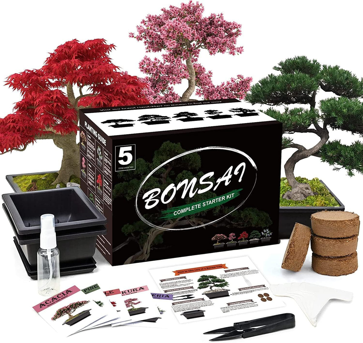 5 Bonsai Tree Kit Complete Plant Growing Tools, Grow in Pot Indoor Bonsai Tree Starter Kit, Great Home Gardening Potted Plants DIY Gift for Adults
