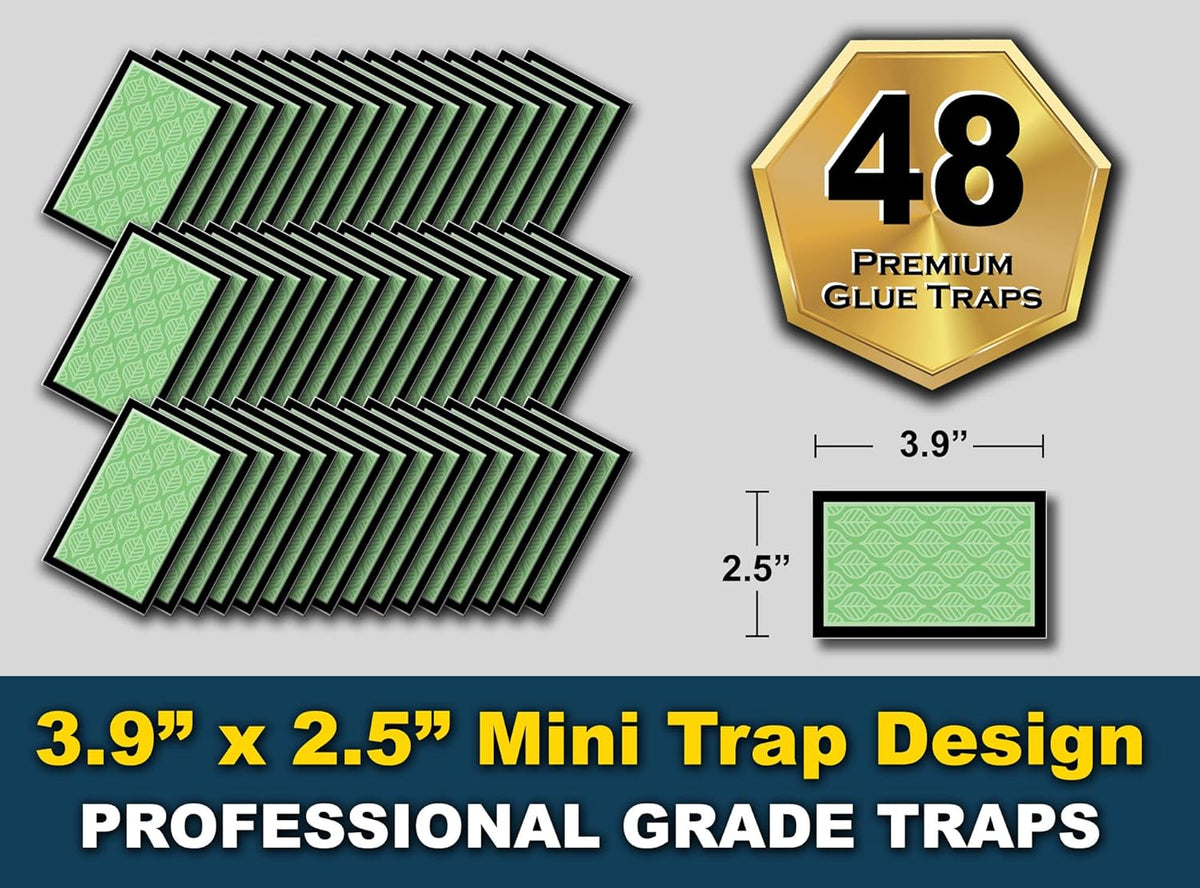 MaxGuard Mini Glue Traps (48 Traps) Non-Toxic Extra Sticky Glue Board Pre-Baited with Fruity Scent Attractant Trap & Kill Insects, Bugs, Spiders, Crickets, Scorpions, Cockroaches, Centipedes, Mice