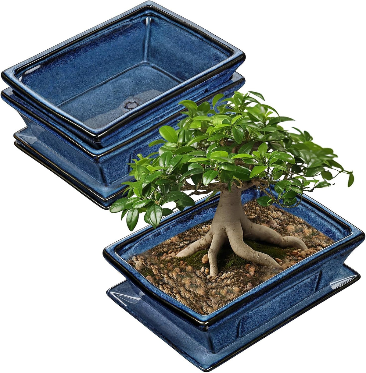 Large Ceramic Bonsai Pots with Drainage Trays Set of 2, 10" Blue Glazed Bonsai Planters for Indoor/Outdoor Use, Rectangular Shallow Bonzai Tree Pot for Succulent, Orchids, Cacti, Home, Patio, Garden