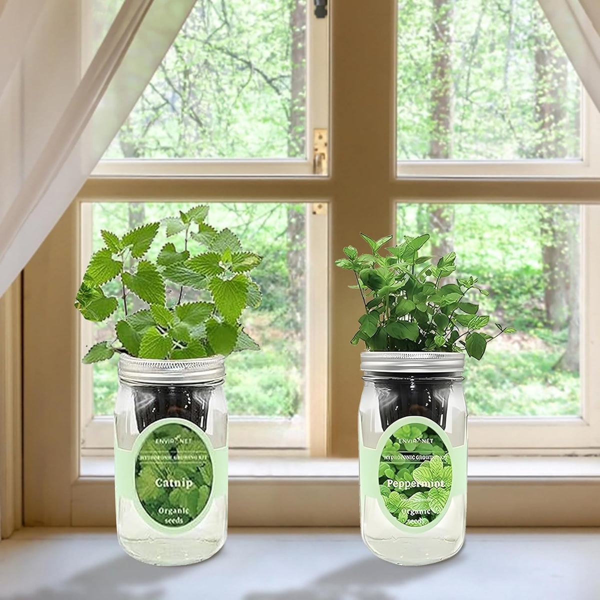 2-Pack Hydroponic Mason Jar Herb Garden Kit, Indoor Herb Garden Self-Watering Starter Kit (Catnip,Peppermint)