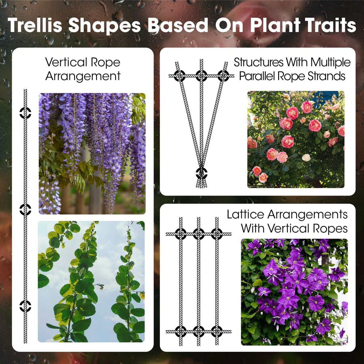 Stainless Steel Trellis Wire Kit for Climbing Plants - 20 Sets T316 Garden Wire Support System with 98Ft Cable, Outdoor Wall Mount Espalier Trellis Kit for Rose/Vine Training