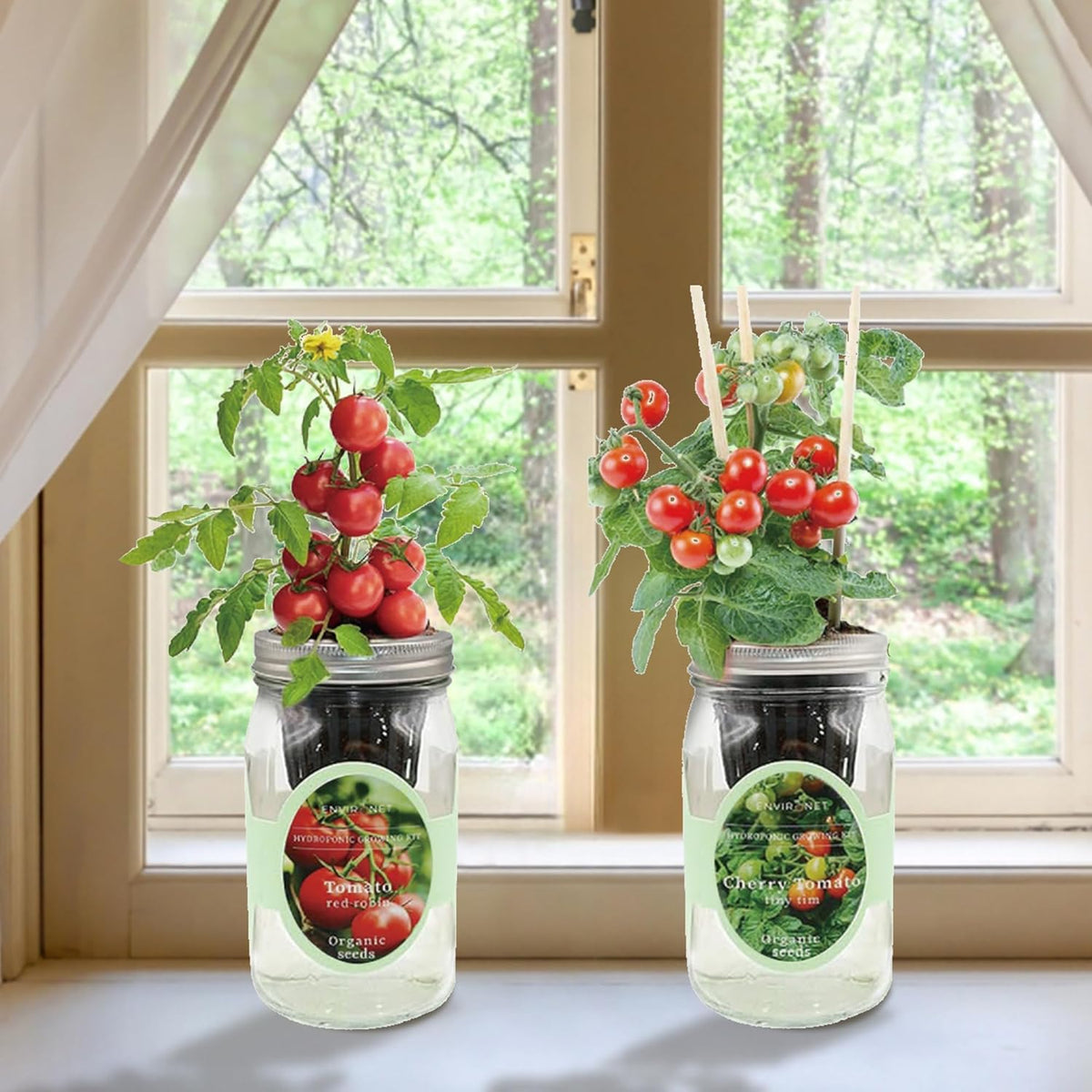 2-Pack Hydroponic Mason Jar Herb Garden Kit, Indoor Herb Garden Self-Watering Starter Kit (Cherry Tomato,Red Robin Tmato)