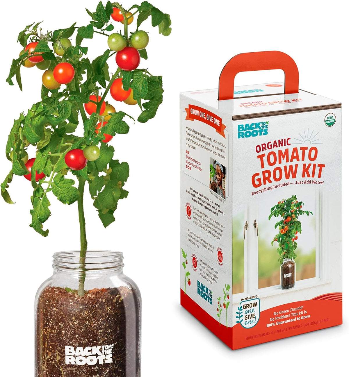 Back to the Roots Cherry Tomato Organic Windowsill Planter Kit - Grows Year Round, Includes Everything Needed For Planting