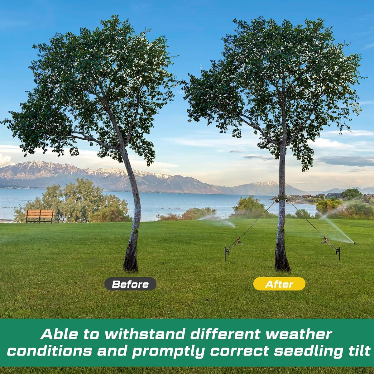 Suzile 120 Pcs Tree Stake Kit, Heavy Duty Tree Staking and Supports for Leaning Trees Include 11. 8'' Steel Stakes 15. 8'' Support Straps 13. 12 ft Rope for Anchoring Hurricane Protection (Army Green)