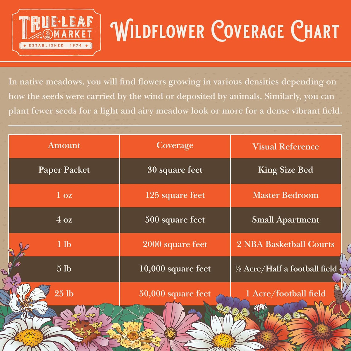 Wildflower Seeds Bulk - Meadow Wildflower Seed Mix, 5 Lbs Bulk, Annual & Perennial Wildflowers Seeds for Planting, Wild Flower & Grass Garden Mixture, Mountain Valley Seed Company