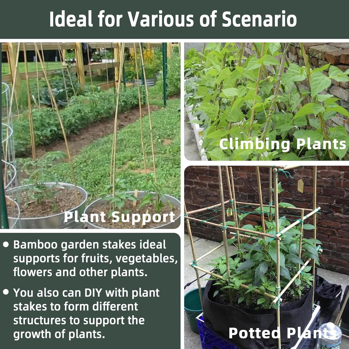 50Pcs / 18 inch Bamboo Plant Stakes for Indoor Outdoor Plants, Garden Plant Support Sticks, Poles for Tomato Vegetables Beans Trees Potted Climbing Plants(0.32''-0.4'')