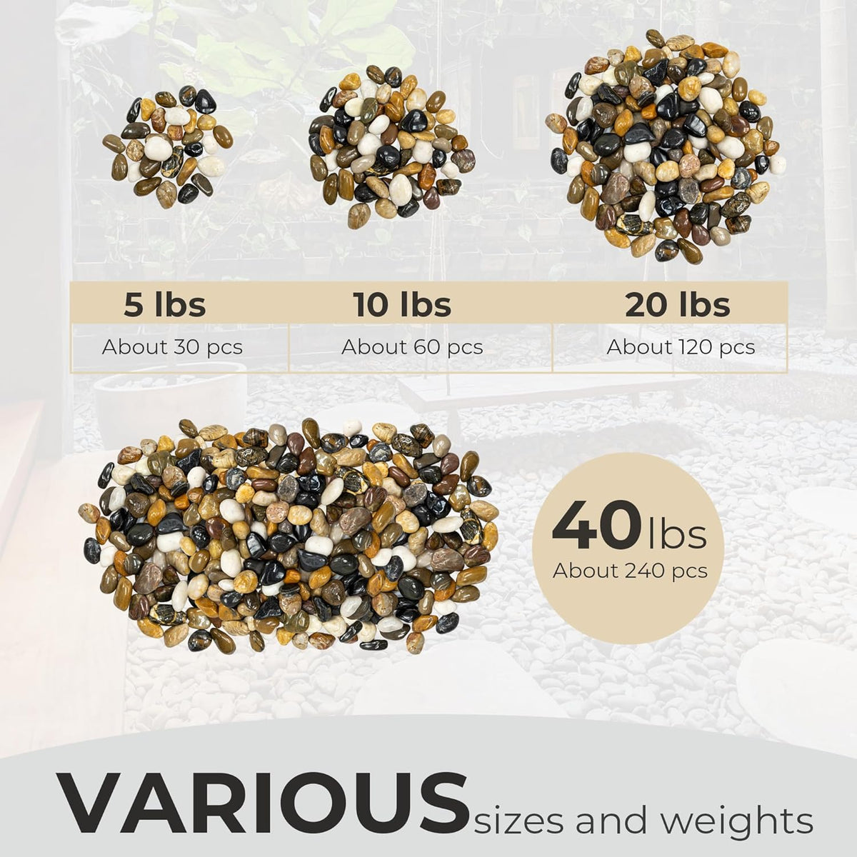 5lbs Large Pebbles for Indoor Plants, 2-3 Inch Natural River Rocks for Aquarium, High Polished Decorative Stones for Vase Filler Fish Tank Landscaping, Mixed Color Garden