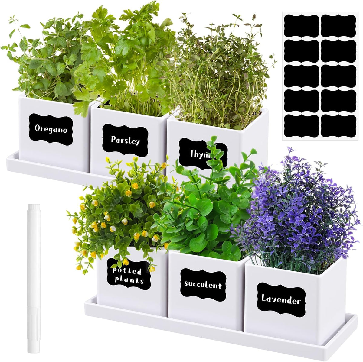 6 Pcs Herb Garden Planter Set Herb Garden Kit Indoor Plastic Plant Pots with Drainage and Saucer Succulent Cactus Vegetable Window Boxes Planter for Windowsill Indoor Outdoor Pots