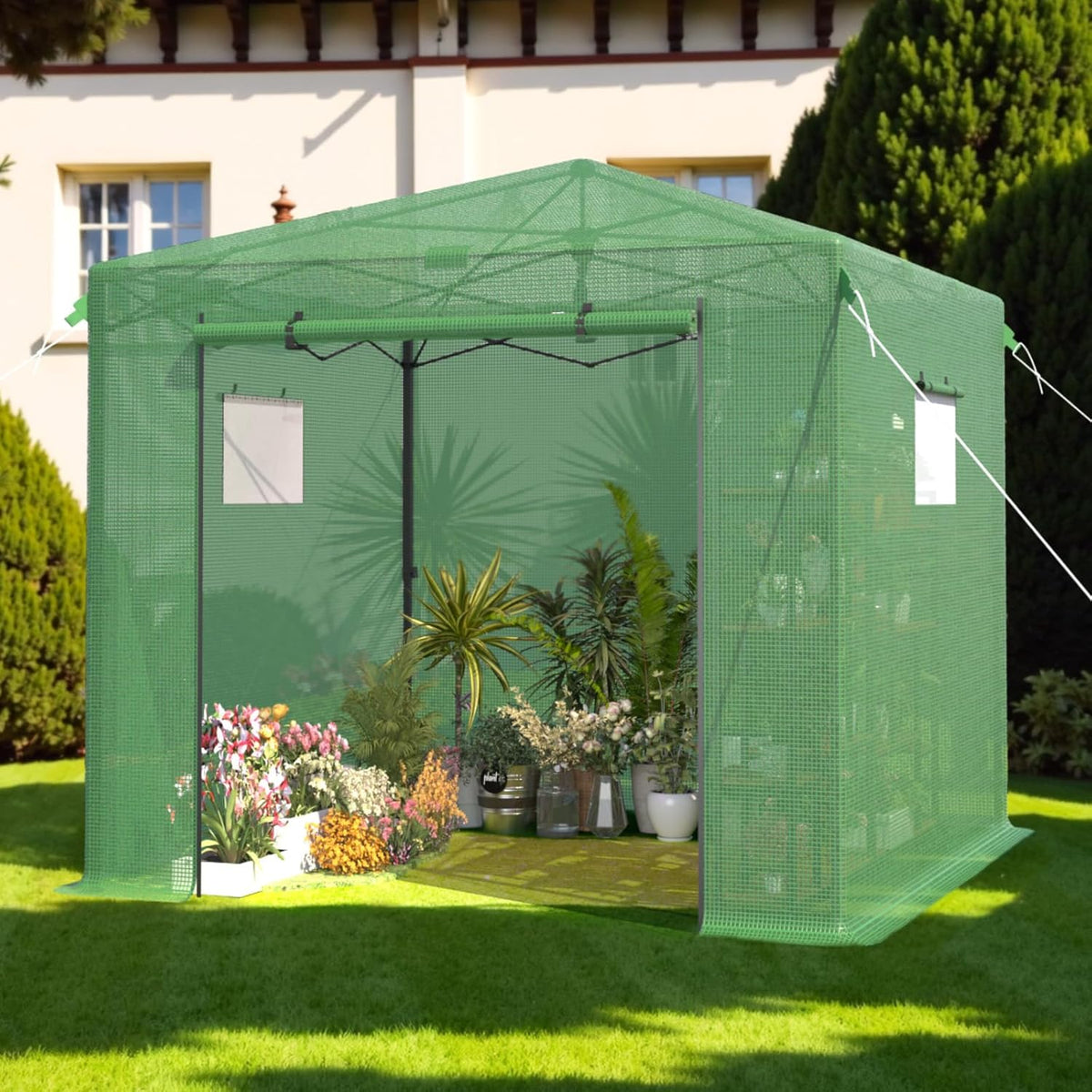 10X10 FT Pop Up Greenhouse,Greenhouse for Outdoors, Portable Walk-in Greenhouses with Roll-Up Zipper Door, PE Cover Greenhouses for Garden and Backyard, Easy Setup