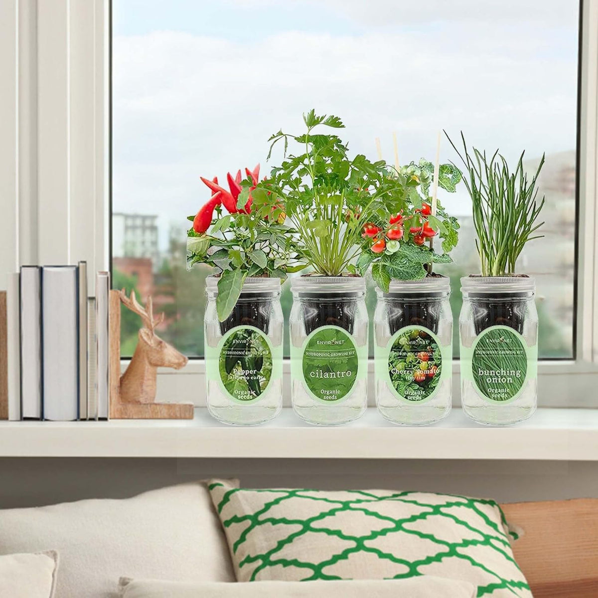 Hydroponic Mason Jar Indoor Garden Organic Seed Starter Kits - Taste of Asia Garden Growing Kits, Gardening Gift (Sweet Nardello Pepper, Mint, Thai Basil, Cilantro)