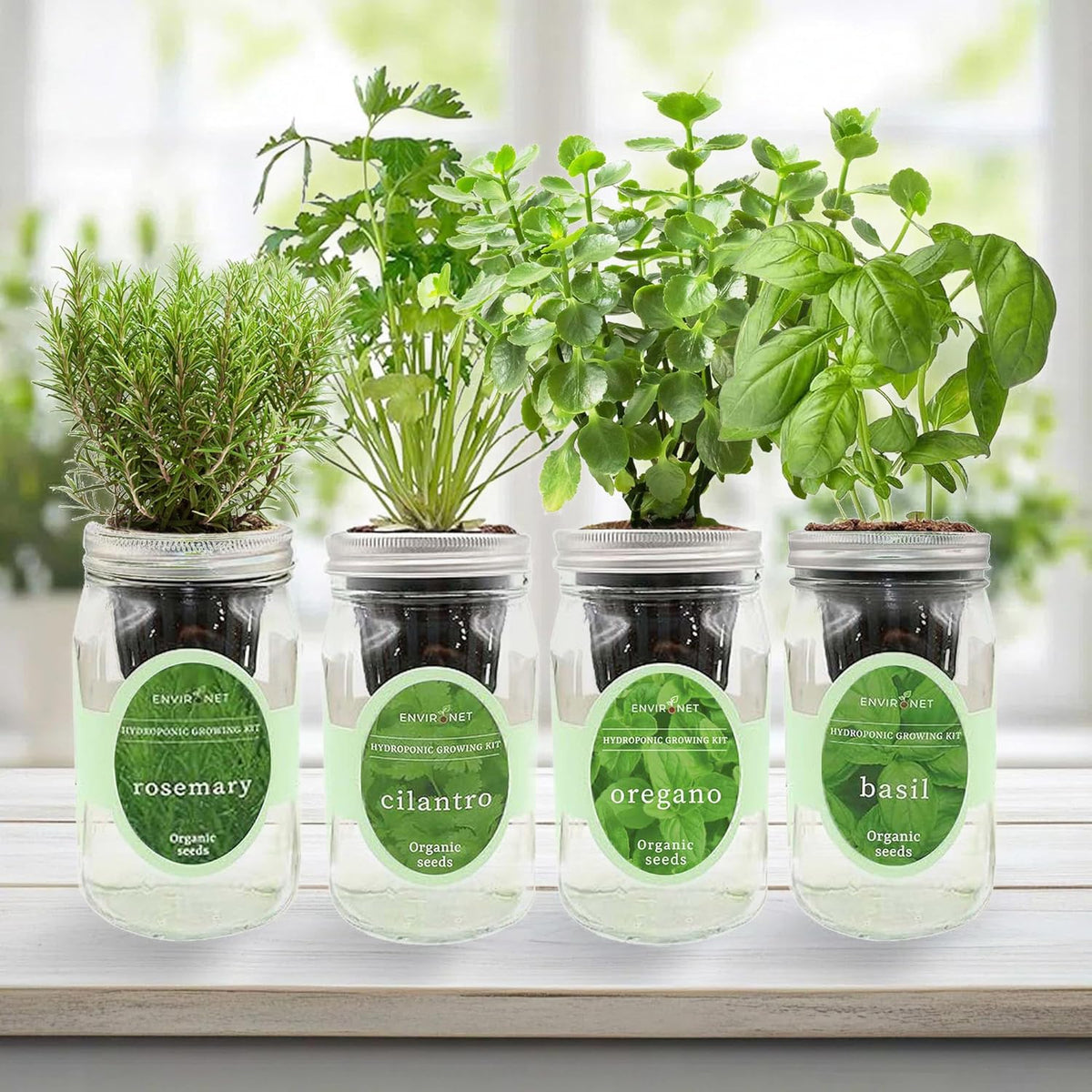 Hydroponic Mason Jar Organic Herb Seed Starter Kits - Mediterranean Herb Mix Growing Kits, Windowsill Herb Garden, Gardening Gift (Rosemary, Cilantro, Oregano, Basil)