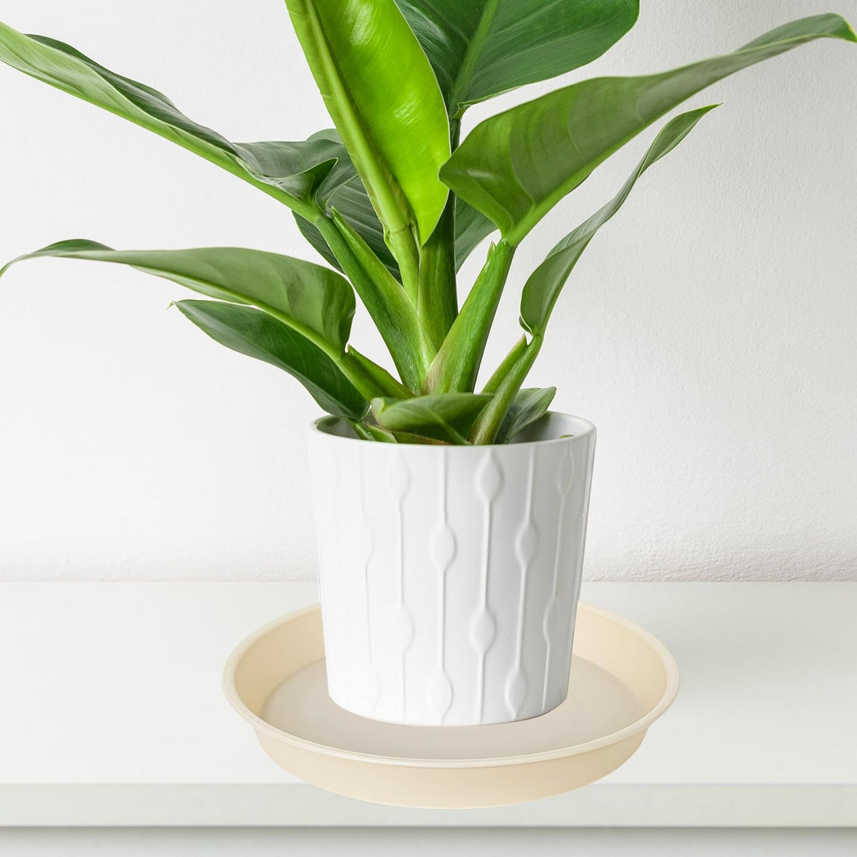 6 Pack of 12 inch Plant Saucer, Heavy Duty Plastic Plant Saucer 12" Round, Durable Plant Tray for Pots, Plant Saucers for Indoors, Plant Trays for Planter (12", Beige)