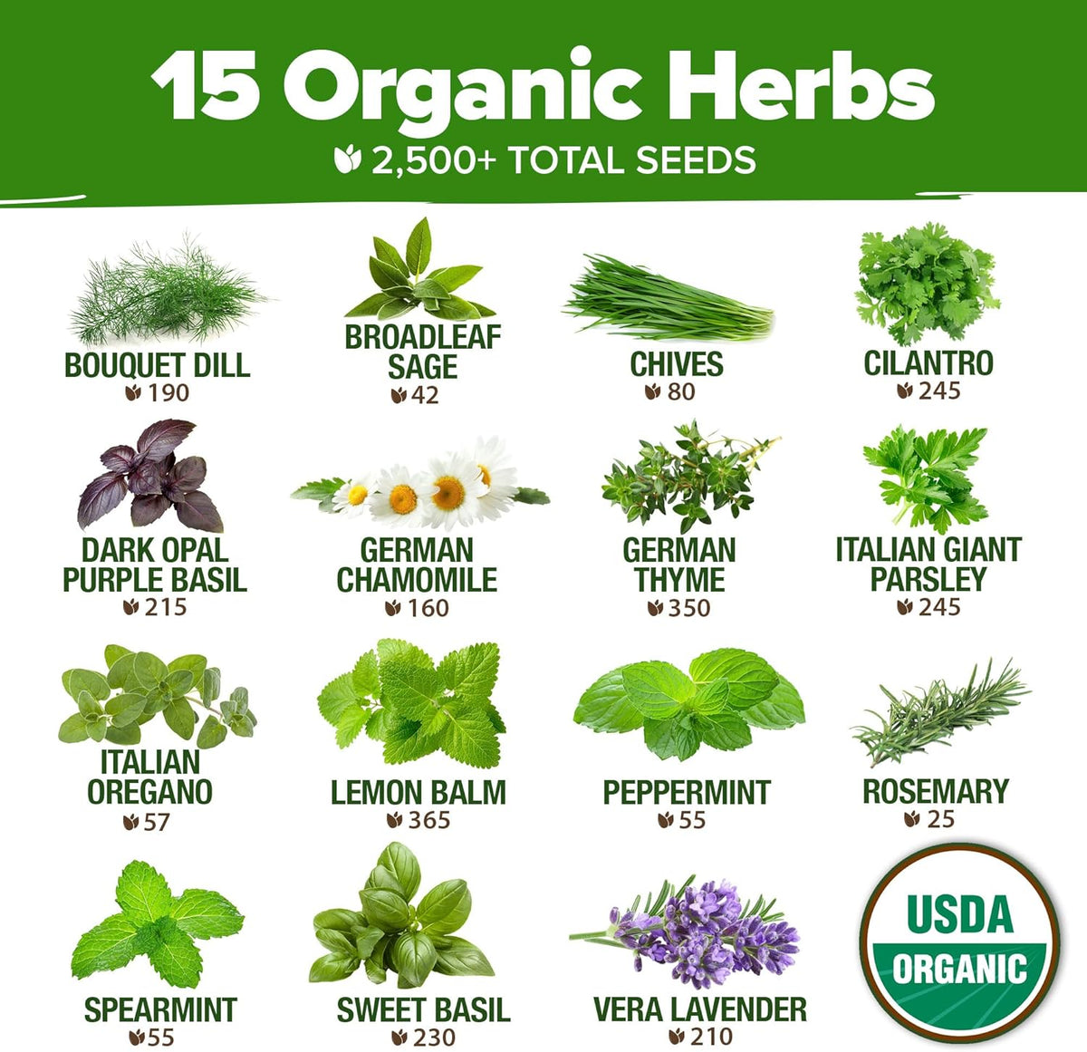HOME GROWN 𝗢𝗥𝗚𝗔𝗡𝗜𝗖 15 Herb Seeds Variety Pack 2,500+ 𝗡𝗢𝗡-𝗚𝗠𝗢 𝗨𝗦𝗔 High-Germinating Heirloom Seeds for Planting Indoor Outdoor Herb Garden Hydroponics Garden Seeds, Basil Cilantro & More