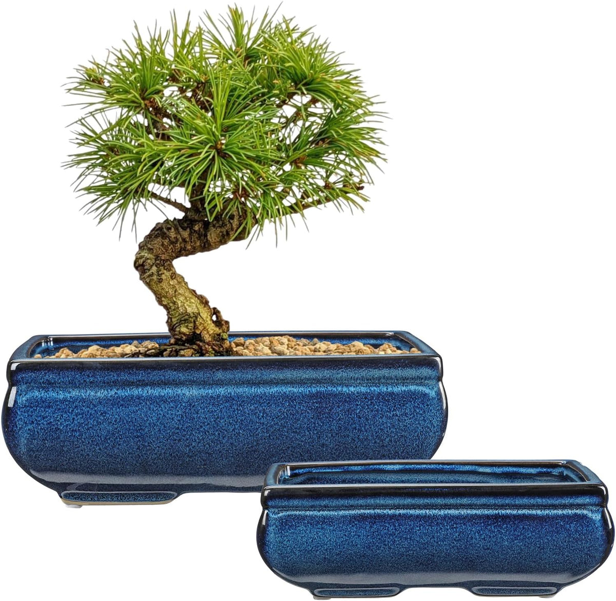 Set of 2 Blue Glazed Ceramic Bonsai Pots, 9.8" & 7.4" Rectangular Bonsai Pots Planters with Drainage for Indoor/Outdoor Plants, Shallow Bonzie Tree Pot for Succulents, Cacti, Orchids, Herbs, Flowers
