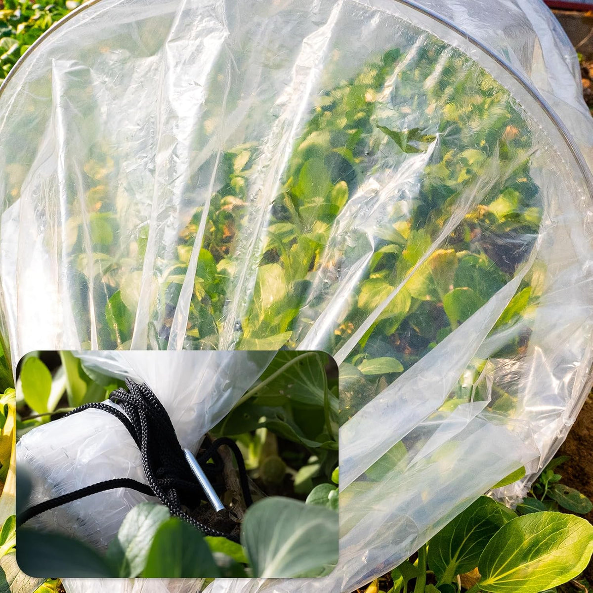 Pack 2 of Mini Greenhouse Tunnel Greenhouses,Green Houses for Outside Greenhouse Cover Garden Hoops Raised Beds,Outdoor Green House Kits to Build for Outside Winter (2)