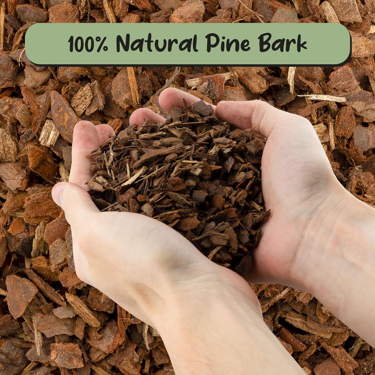 100% Organic Orchid Potting Bark (8 Quarts), All-Natural USA-Sourced Pine Bark Orchid Mix Additive