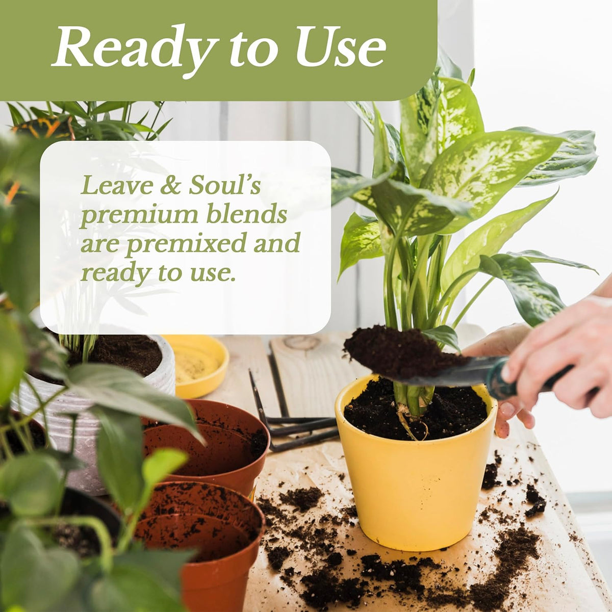 Orchid Soil Premium All Purpose Blend | Large 2.2 Quarts | Ready to Use for Orchids, Bromeliads, Epiphytic Plants | Lava, Calcined Clay and Pinebark | Made in USA