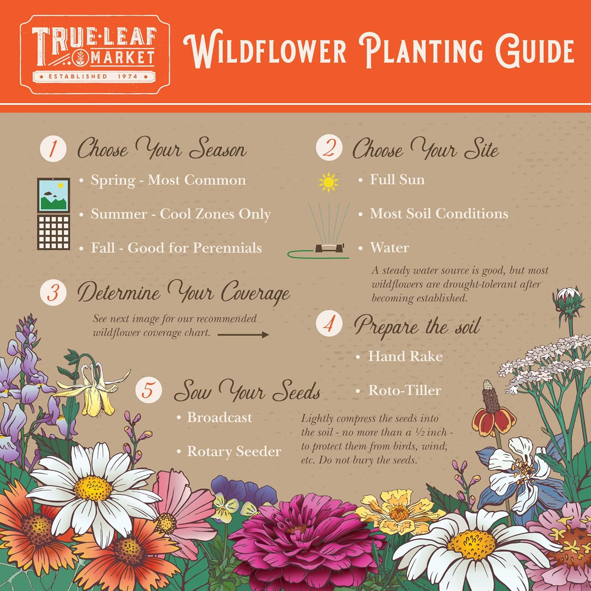 Wildflower Seeds Bulk - Meadow Wildflower Seed Mix, 5 Lbs Bulk, Annual & Perennial Wildflowers Seeds for Planting, Wild Flower & Grass Garden Mixture, Mountain Valley Seed Company