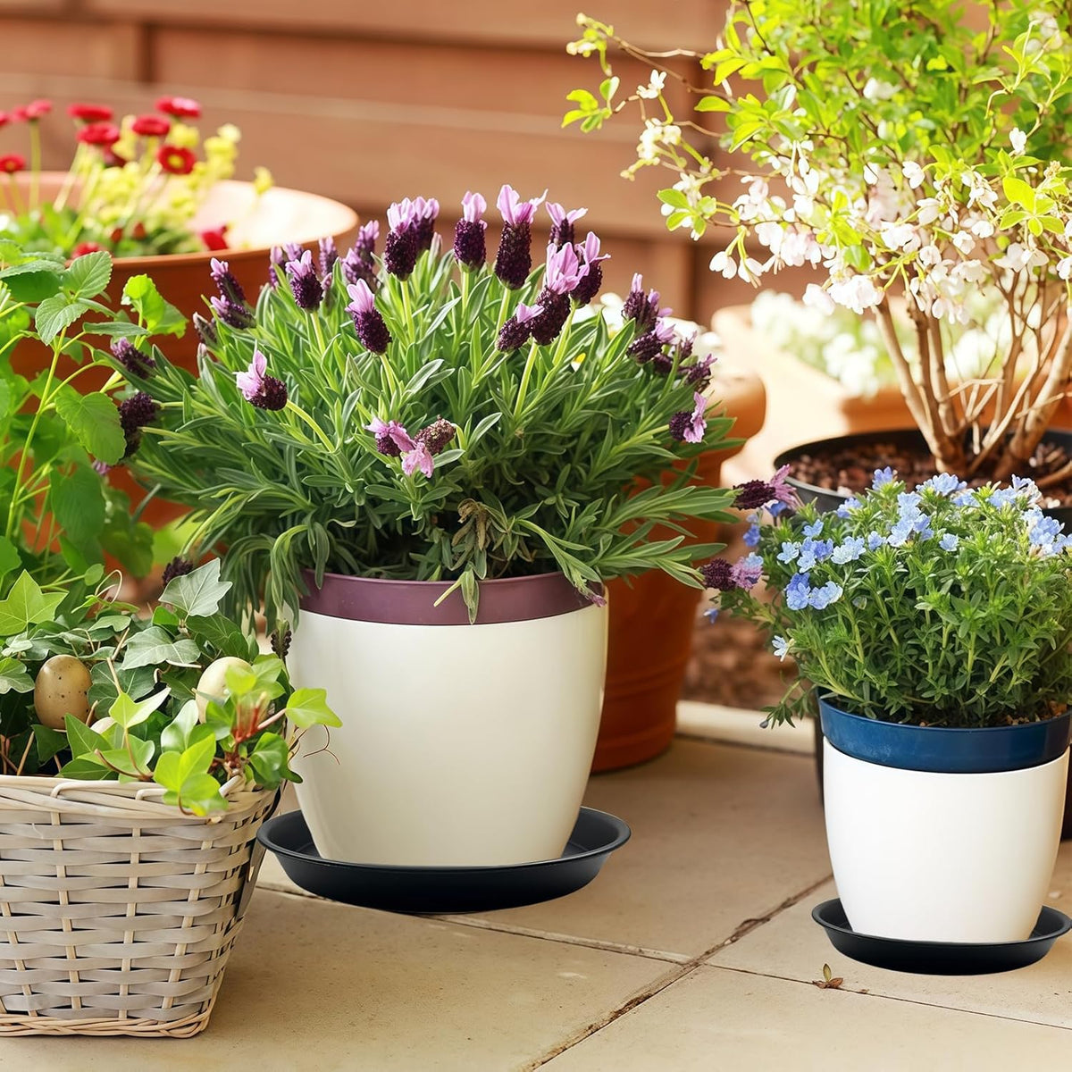 9 Pack Plant Saucer Set, 3pcs 8 inch 3pcs 10 inch 3pcs 12 inch Heavy Duty PP Plastic Pot Trays, Durable Water Catcher Plates & Drip Trays for Indoor Outdoor Gardening