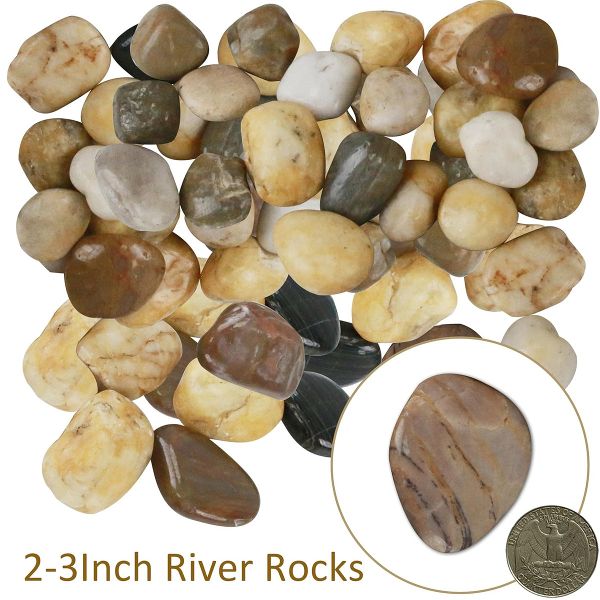 Sunnyglade 5 LBS River Rocks, 2-3 Inch Natural Pebbles for Indoor Plants, High Polished Decorative Stones Vase Filler Fish Tank Aquariums Landscaping Garden Outdoor and Indoor DIY (5, Pounds)