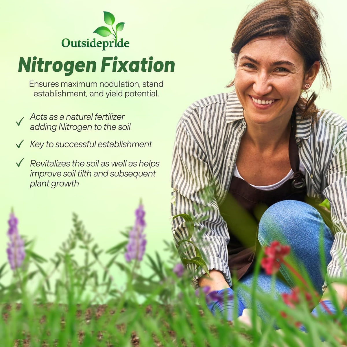 Outsidepride Gardenway Cover Crop Seeds - 50 lbs Fast Growing, Easy to Establish, Nutrient-Rich Mix for Soil Health & Home Gardens - Mixture of Triticale, Peas, Vetch, Annual Ryegrass, Crimson Clover