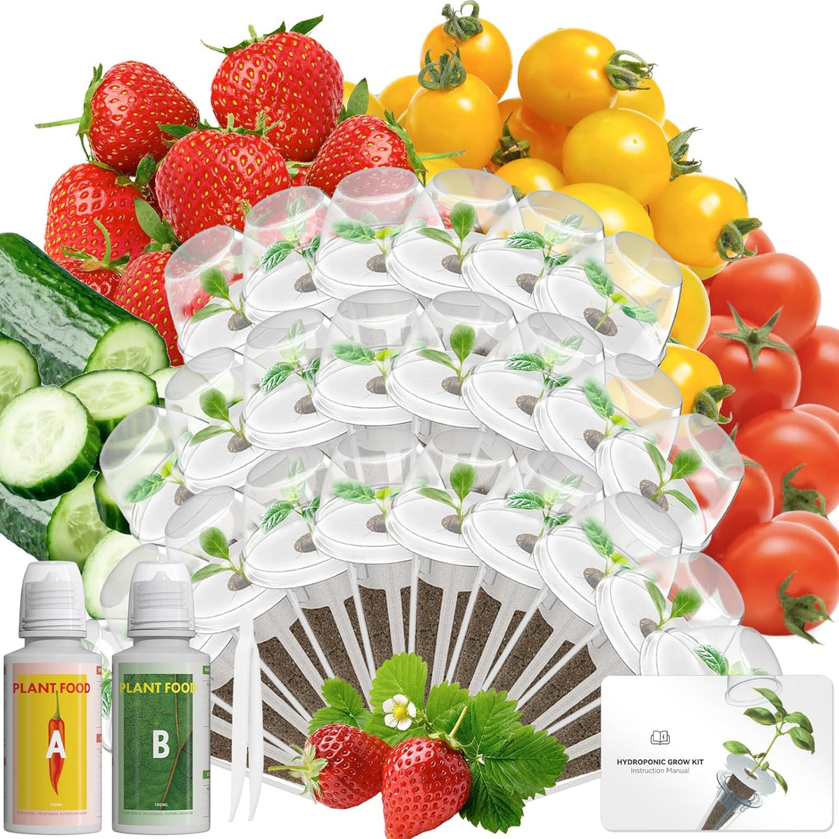 Fruits Seed Pod Kit for AeroGarden, Ahopegarden, iDoo, GARDENCUBE, MUFGA with Strawberry, Cucumber, Red/Golden Cherry Tomato, Compatible with All Indoor Hydroponics Growing System, 24-Pod