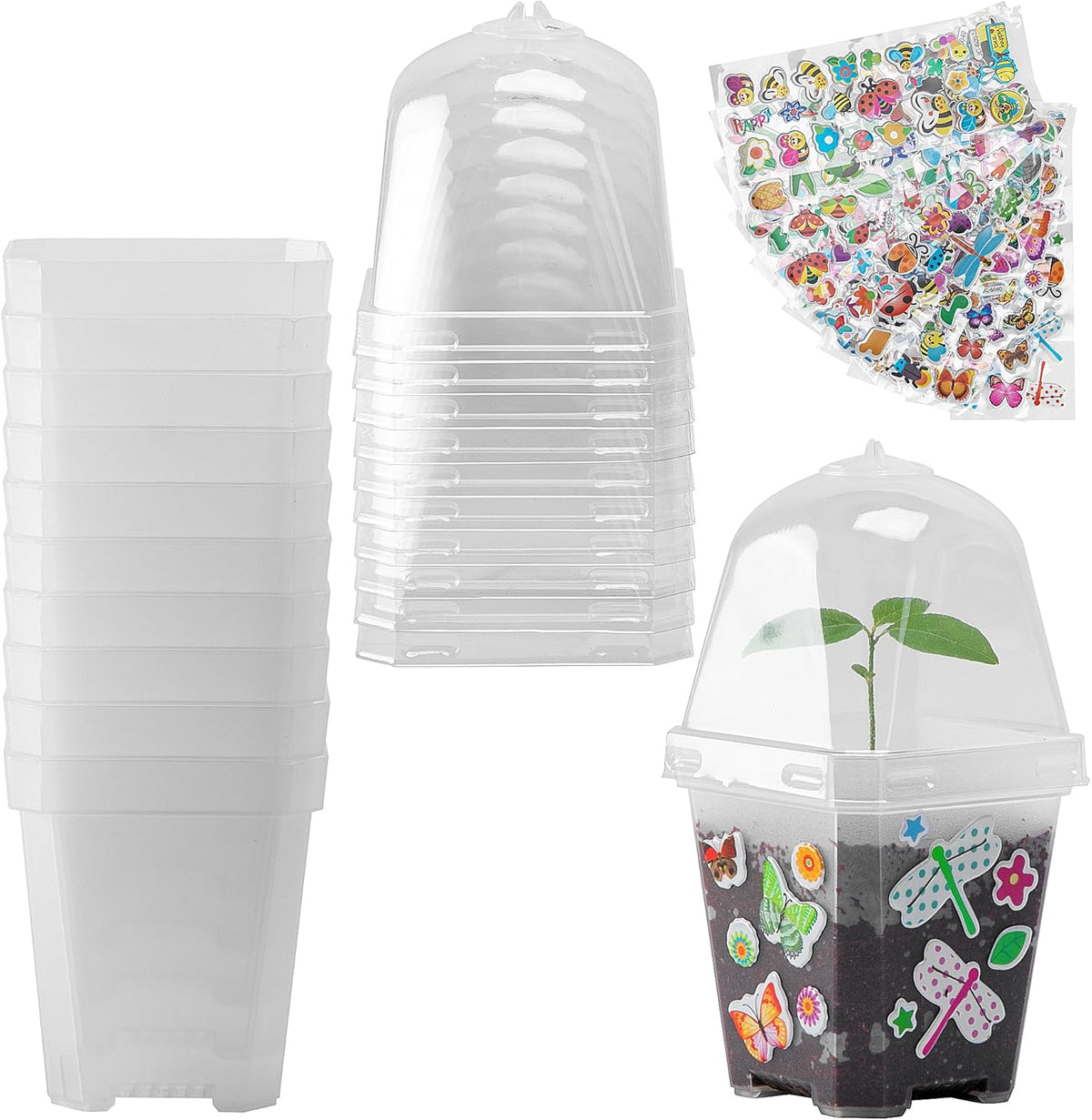 EBaokuup 10 Pcs Clear Plant Nursery Pots with Humidity Dome-3" Reusable Plastic Gardening Pot with Printed Labels-Small Seed Starting Pots for Seedlings,Vegetables,Succulents,Cuttings