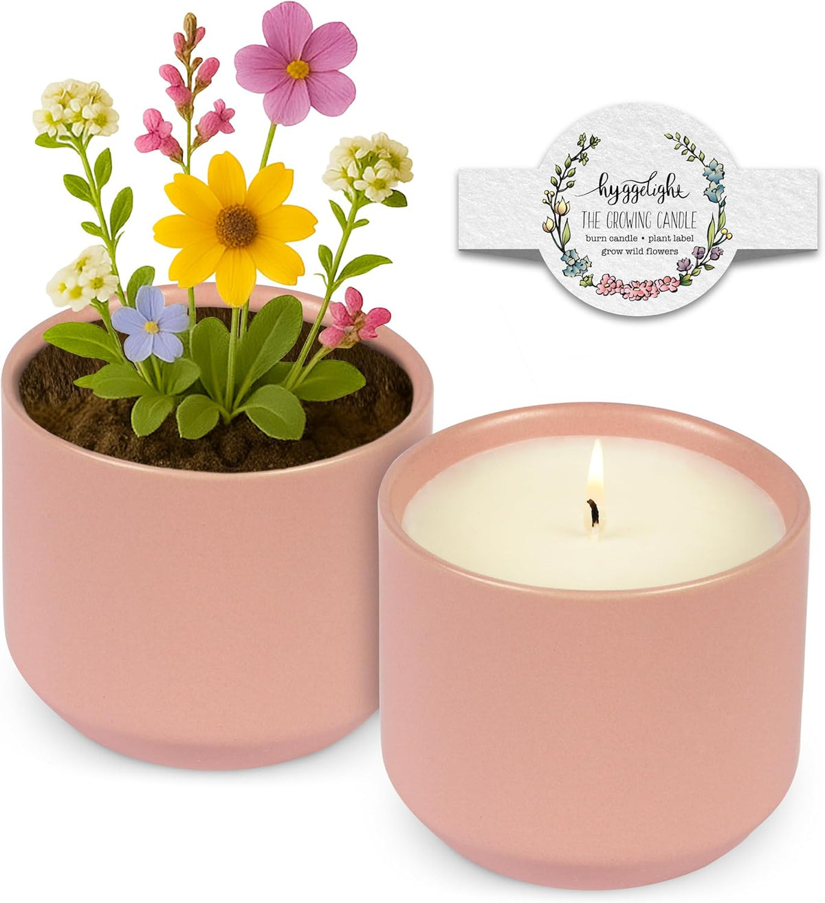 The Growing Candle, Chai Scented, 8oz Ceramic Pot, Aromatherapy Candles for Home, 100% Soy, Adelyn