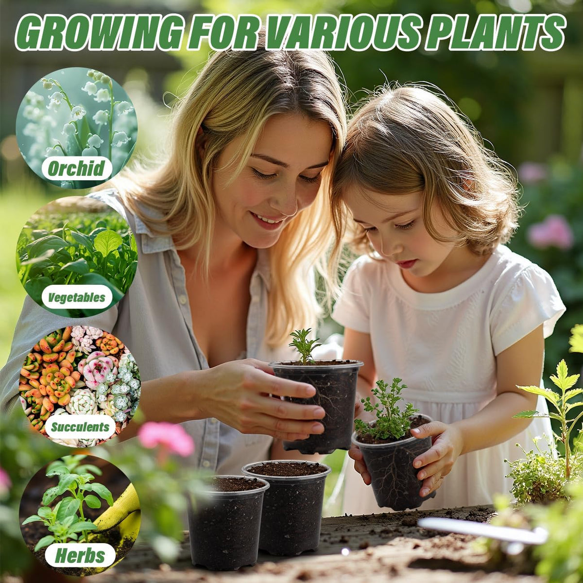 3.5" Clear Seeding Pots 100-Pack Round for Seeds Starter Pots, Seeds Germination Transparent Nursery Pots with Drainage Holes (100PCS)