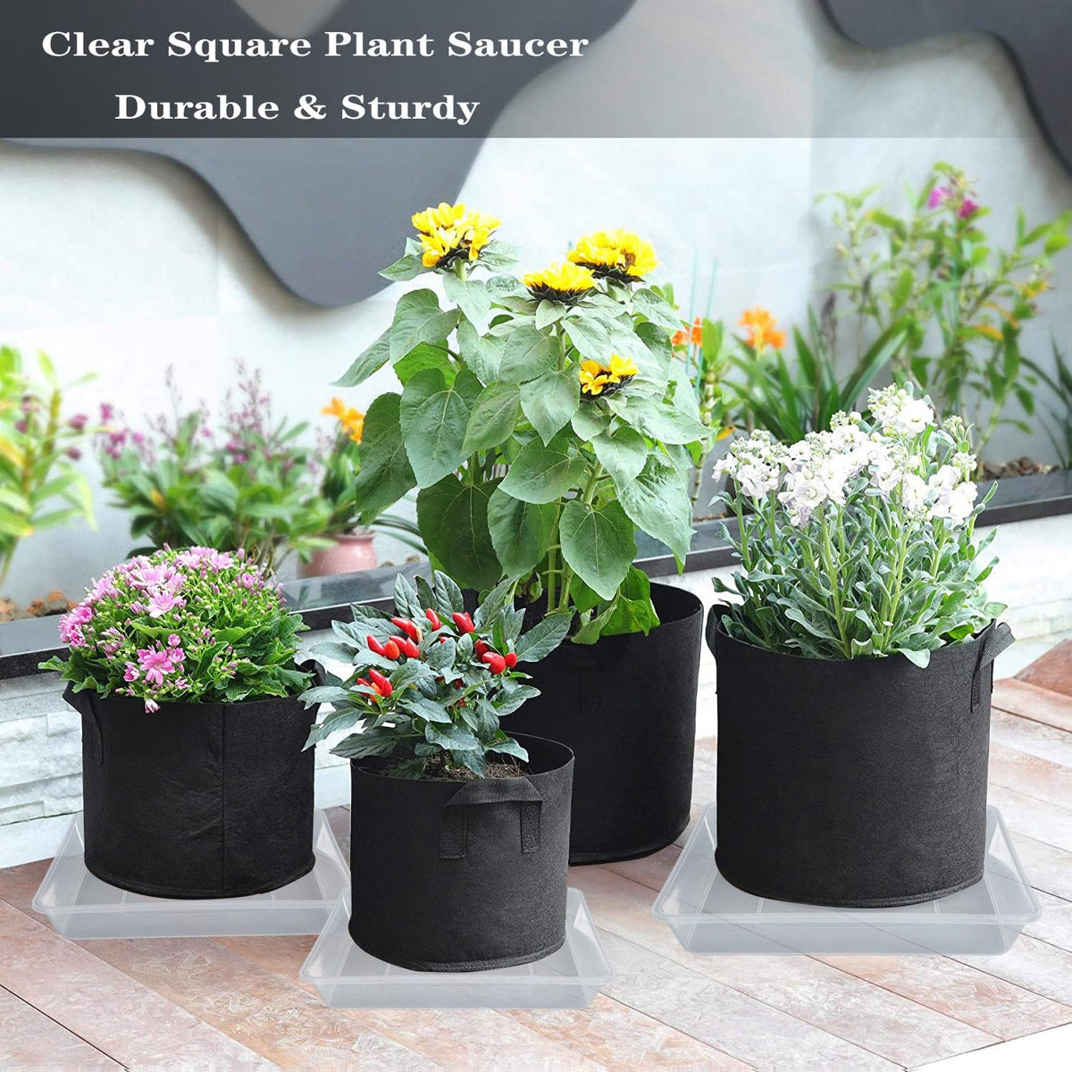 Square Plant Saucer 12 Inch 2 Pack, Thick Clear Plastic Flower Plant Pot Saucer, Square Planters for Indoors and Outdoors Plants, Garden Plant Saucers for Pots Plant Trays.