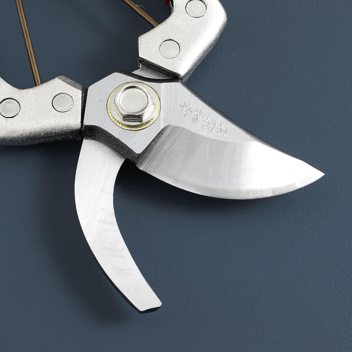 Wazakura Bypass Pruner (Stainless Steel) TypeB Kazuyuki Ishihara model