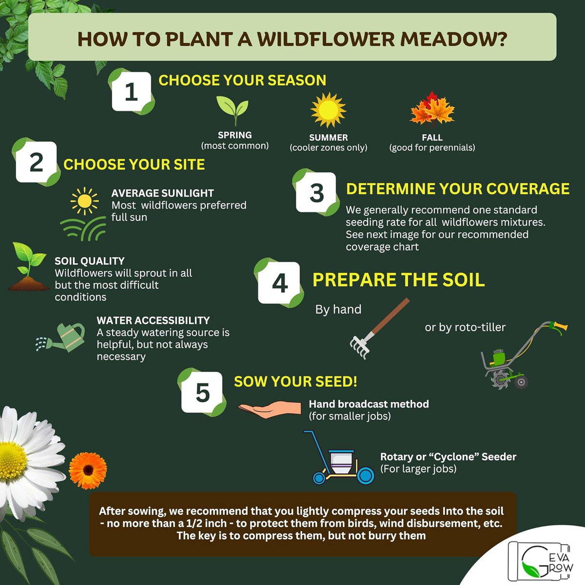 on The Go Regional Wildflower Seed Shaker - Northeast USA Wildflowers - 100% Pure Seed - Organic, Non-GMO - 21 Wildflower Variety Seeds of Annual & Perennial, 8oz