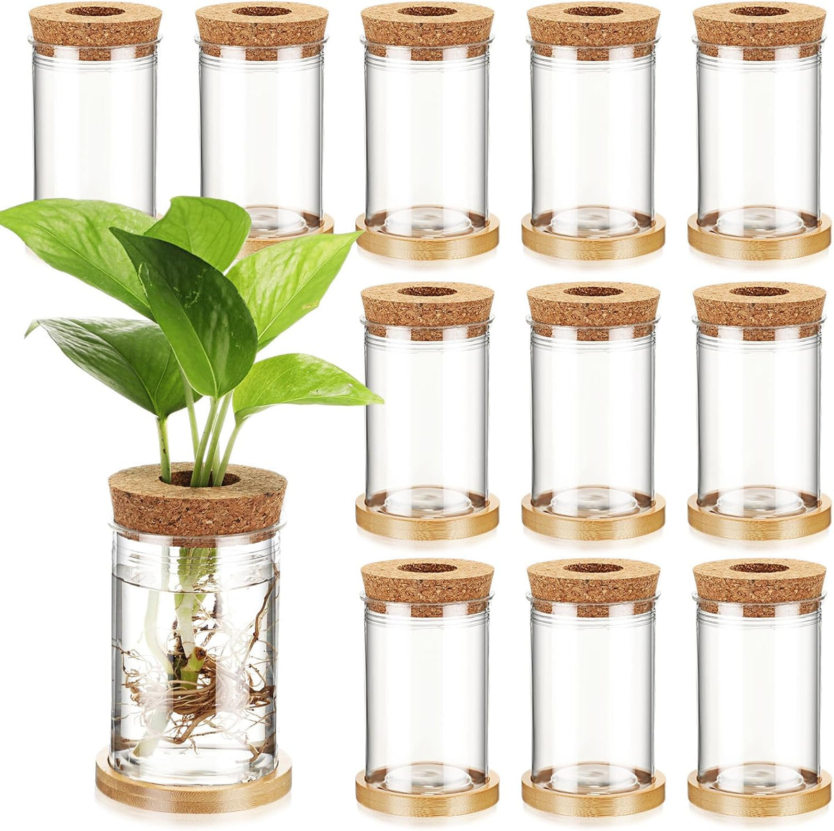 Baderke 12 Packs Propagation Vases for Plants Plastic Plant Propagation with Hole Lid and Bamboo Stand Growing in Water Hydroponic Home Office Desktop Vase Decoration(Classic Style)