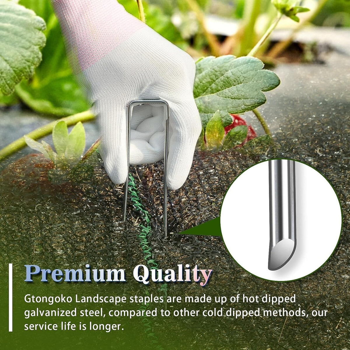 Gtongoko 50 Pack Galvanized Landscape Staples, Garden Stakes, Tent Stakes, Plant Cover Stakes 6 Inch for Landscaping Securing Weed Barrier Fabric, Irrigation Tubing, Holding Fence