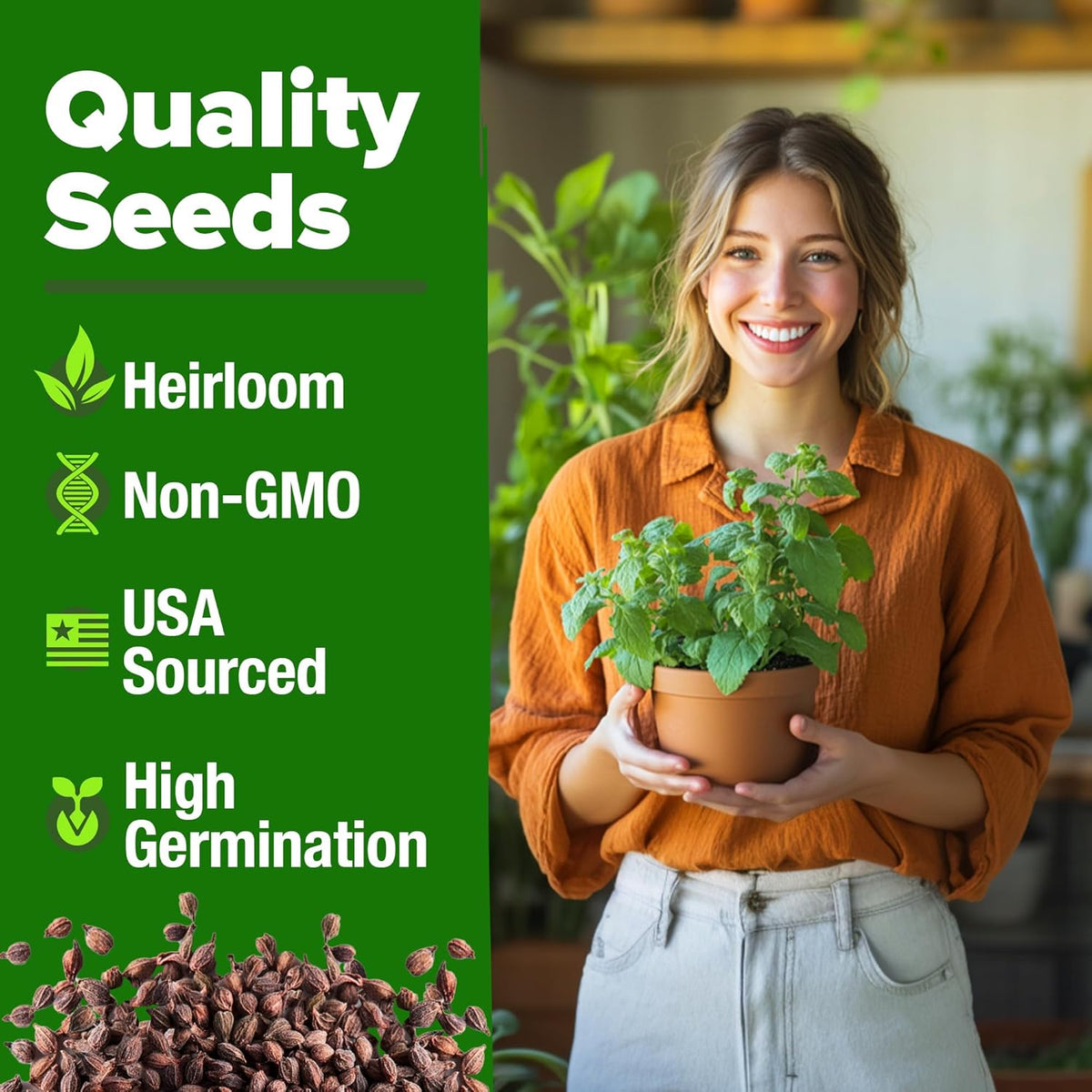 HOME GROWN Catnip Seeds (2 Pack) 𝗡𝗢𝗡-𝗚𝗠𝗢, 𝗨𝗦𝗔-𝗦𝗢𝗨𝗥𝗖𝗘𝗗 Heirloom Herb 4232 Seeds - Indoor or Outdoor Seed - High-Germination Cat Nip - Cat Safe Plants (Nepeta cataria)