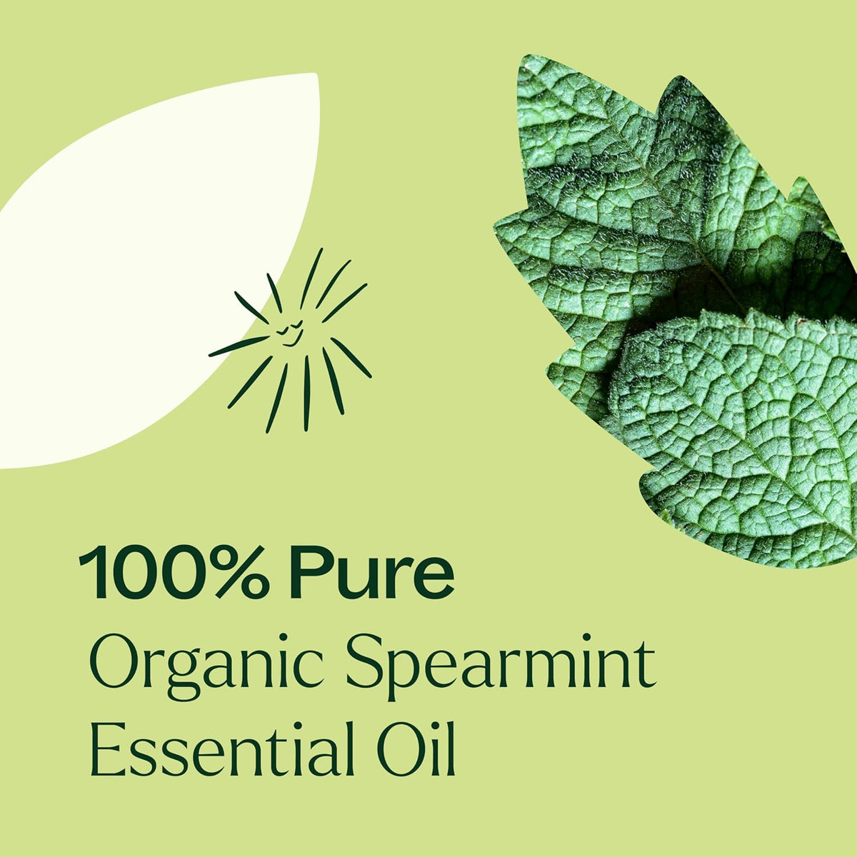 Plant Therapy USDA Certified Organic Spearmint Essential Oil 10 mL (1/3 oz) 100% Pure, Undiluted, Therapeutic Grade